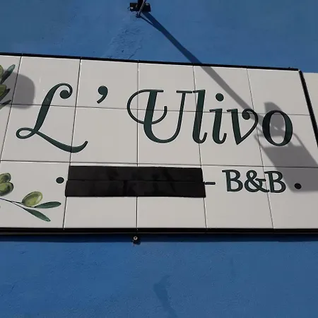 L'ulivo 3*