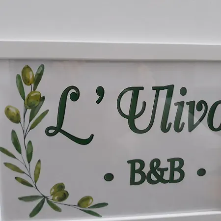 Alojamento de Acomodação e Pequeno-almoço L'ulivo